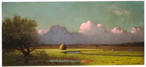 Luce del sole e ombra: Le paludi di Newbury